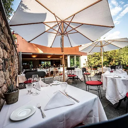 Swiss Historic & Garten Carona