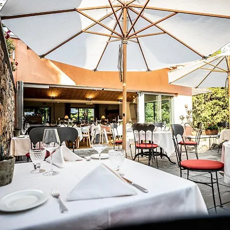 Swiss Historic & Garten Carona 3*