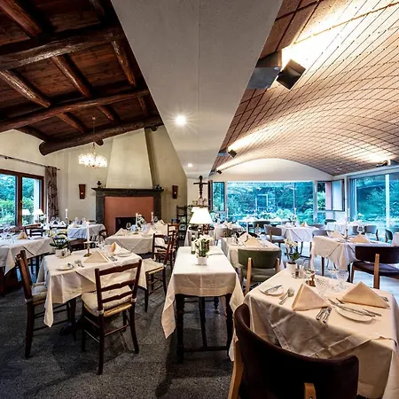 Swiss Historic & Garten Carona فندق 3*