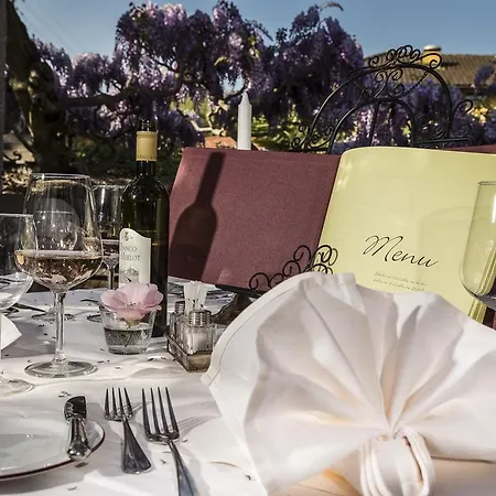 Swiss Historic & Garten Carona Hotel