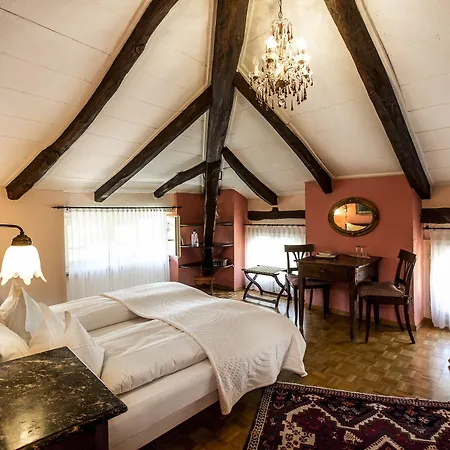 Готель Swiss Historic & Garten Carona