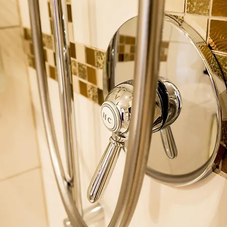 Swiss Historic & Garten Carona 3* Lugano