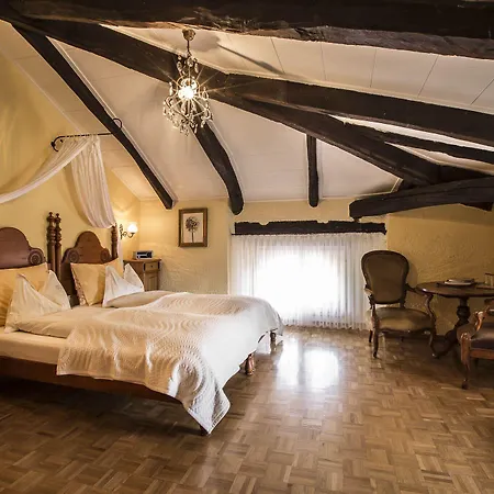 Hotel Swiss Historic & Garten Carona