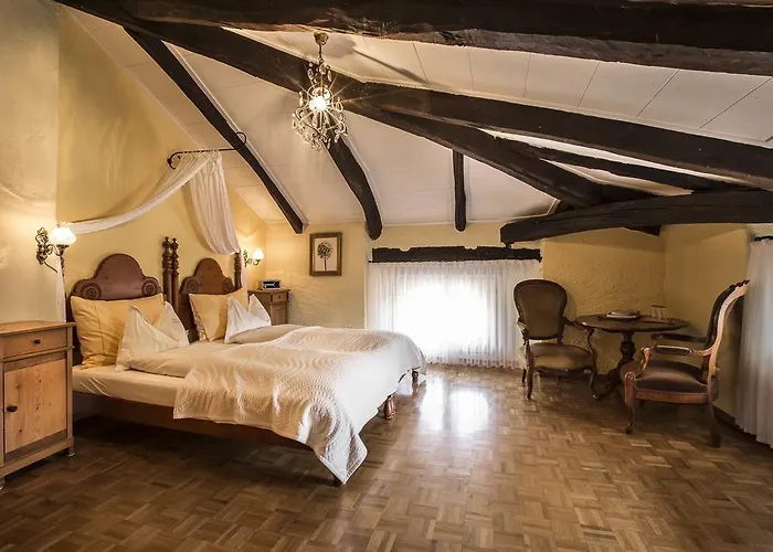 Hotel Swiss Historic & Garten Carona 3*