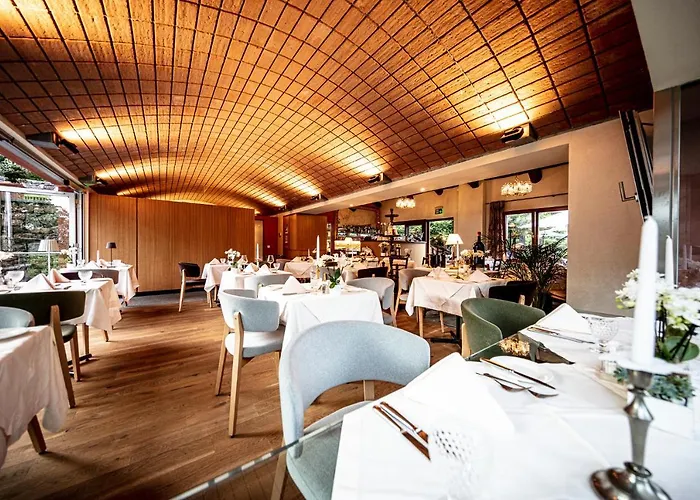 Swiss Historic & Garten Carona 3*