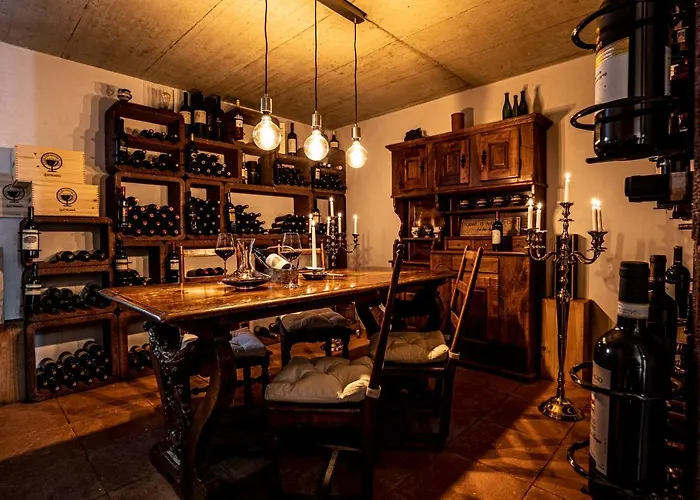 Swiss Historic & Garten Carona 3*