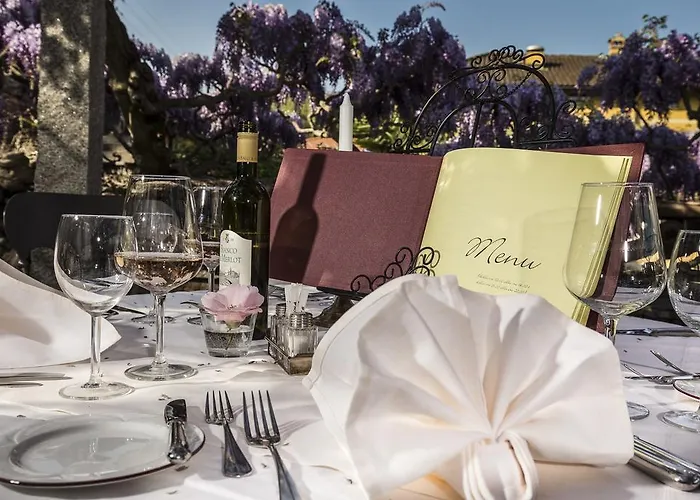 Swiss Historic & Garten Carona Ξενοδοχείο