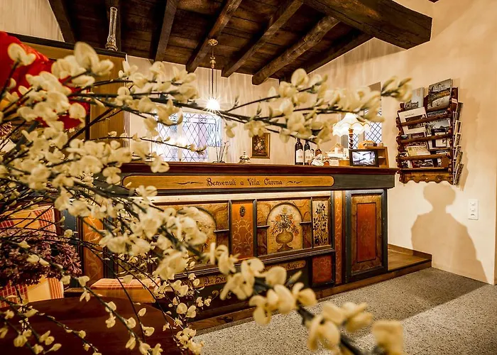 מלון Swiss Historic & Garten Carona