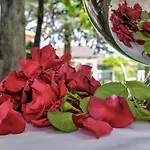 Swiss Historic & Garten Carona 酒店 盧加諾