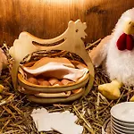 酒店 Swiss Historic & Garten Carona 3*