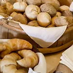 酒店 Swiss Historic & Garten Carona