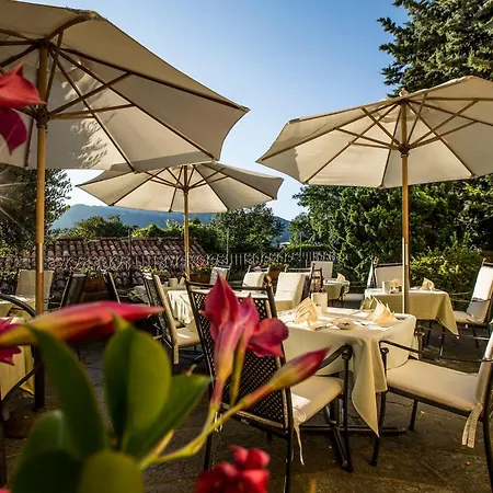 Swiss Historic & Garten Carona Hotel 3*