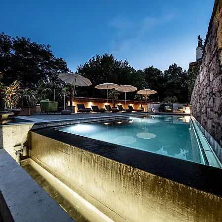 Swiss Historic & Garten Carona Hotel 3*