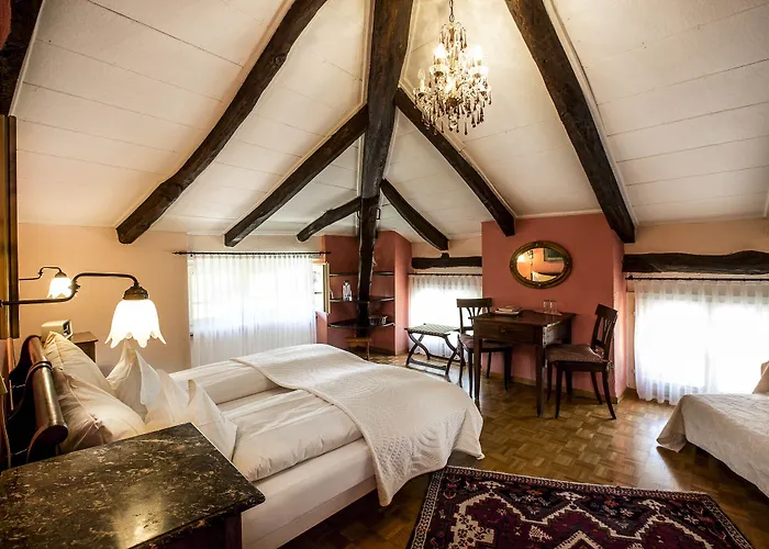 ホテル Swiss Historic & Garten Carona