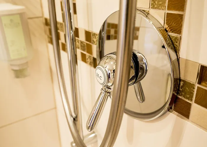 Swiss Historic & Garten Carona 3* ルガーノ