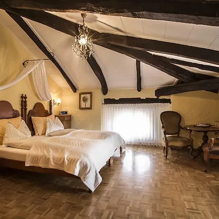 Отель Swiss Historic & Garten Carona 3*