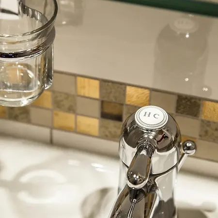 Swiss Historic & Garten Carona Hotel Lugano