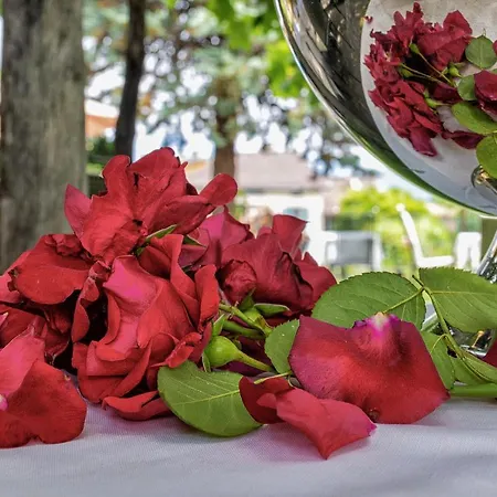Swiss Historic & Garten Carona Отель Лугано