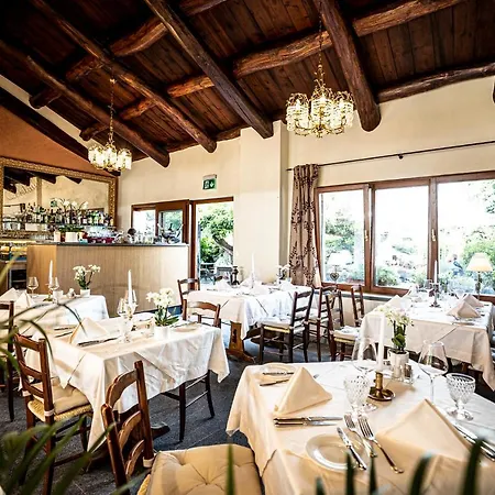 Swiss Historic&garten Carona Hotel 3*
