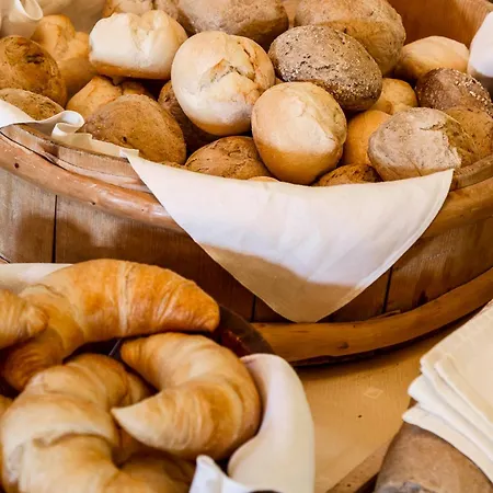 Swiss Historic & Garten Carona Hotel Lugano